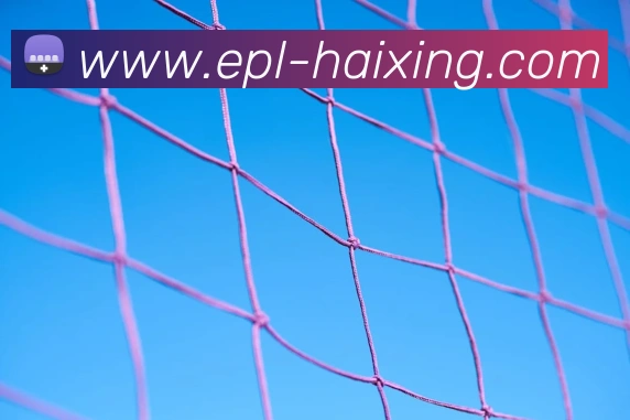 海星体育平台生态图